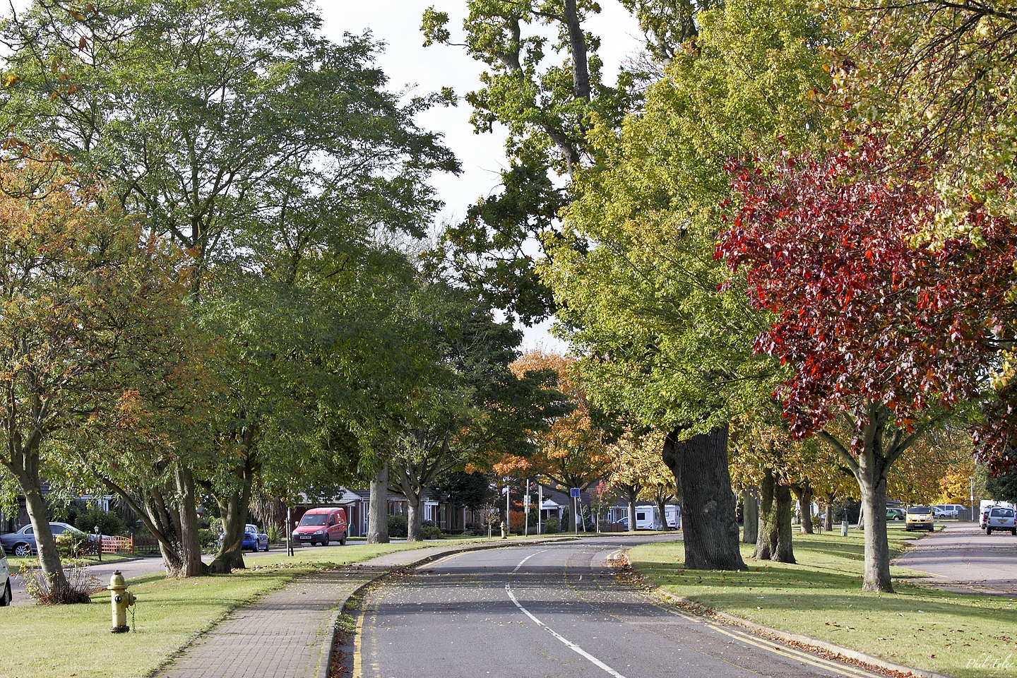 -new_england_colours_and_american_fire_hydrant_-_suffolk_drive