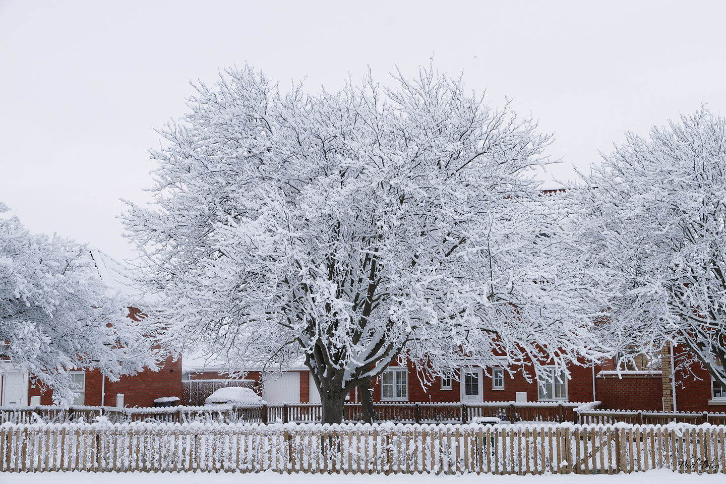 -winter-scene---mayhew-road